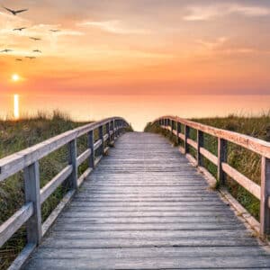 Cycle complet — 4 semaines de guérison